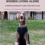 The_best_dog_for_a_single_female_living_in_an_apartment