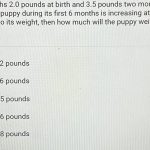 A_puppy_weighs_2_0_pounds_at_birth_and_3_5_pounds_two_months_later