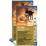 Advantage_multi_for_dogs_a_12-piece_pack