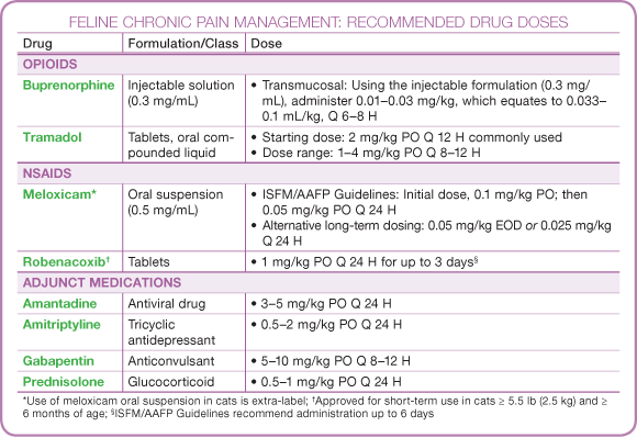 Amitriptyline Side Effects in Cats