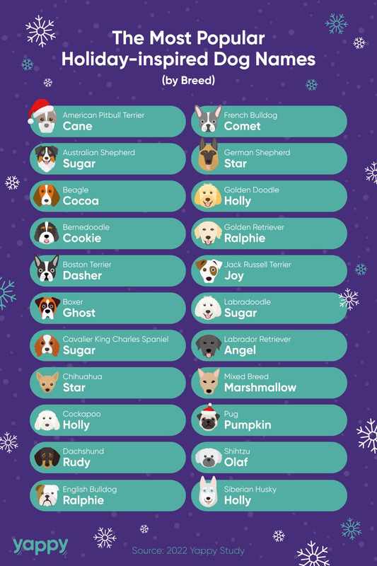 Boy Christmas Names for Dogs