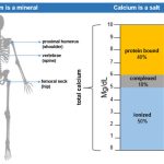 Calcium_normal_level