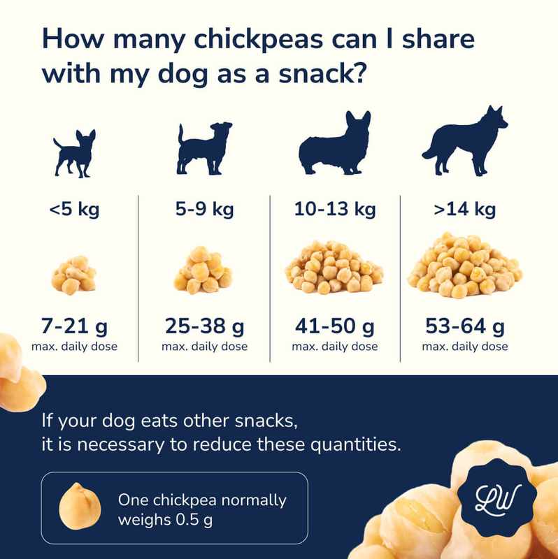 Can Dogs Have Chickpeas_