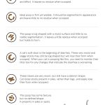 Guide to Types of Cat Poop – Consistency
