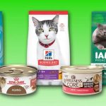 The_best_cat_food_for_seniors