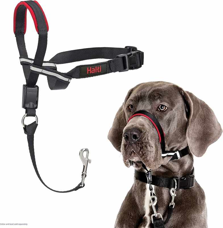 Top-Rated Dog Harnesses for Large Boxer Breeds_ A Comprehensive Guide