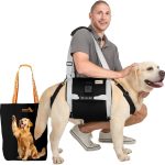 Top-rated_dog_harnesses_for_large_boxer_breeds_a_comprehensive_guide