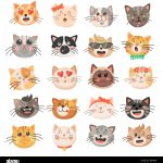 All_smiles_art_pets_funny_spotted_dog_and_cat