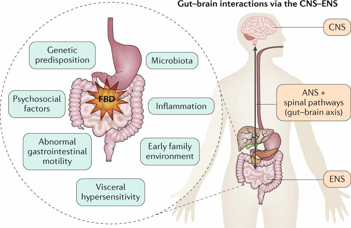 Amidst IBS Side Effects_ A Comprehensive Guide to Amitriptyline 10mg