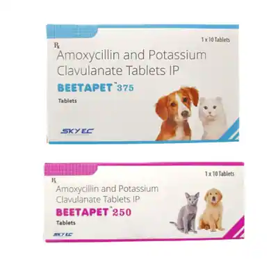 Amoxicillin Trihydrate and Clavulanate Potassium Tablets for Dogs_ Side Effects