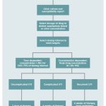 Amoxicillin_dosage_for_dogs_with_uti_a_comprehensive_guide