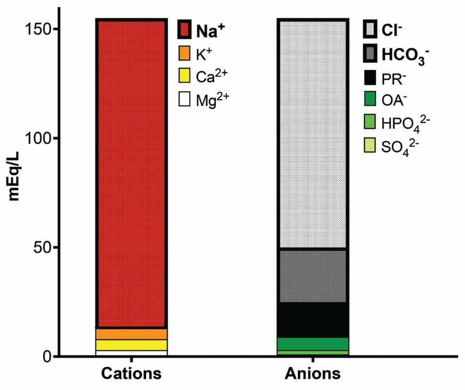 Anion Gap Serum Levels_ Normal Range