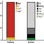 Anion_gap_serum_levels_normal_range