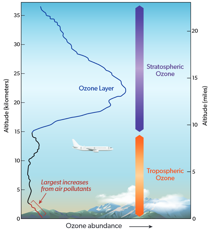 As the Ozone Hole Gets More Pronounced_ With Time_ One Expects the Incidence of Skin Cancer to