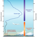 As_the_ozone_hole_gets_more_pronounced_with_time_one_expects_the_incidence_of_skin_cancer_to