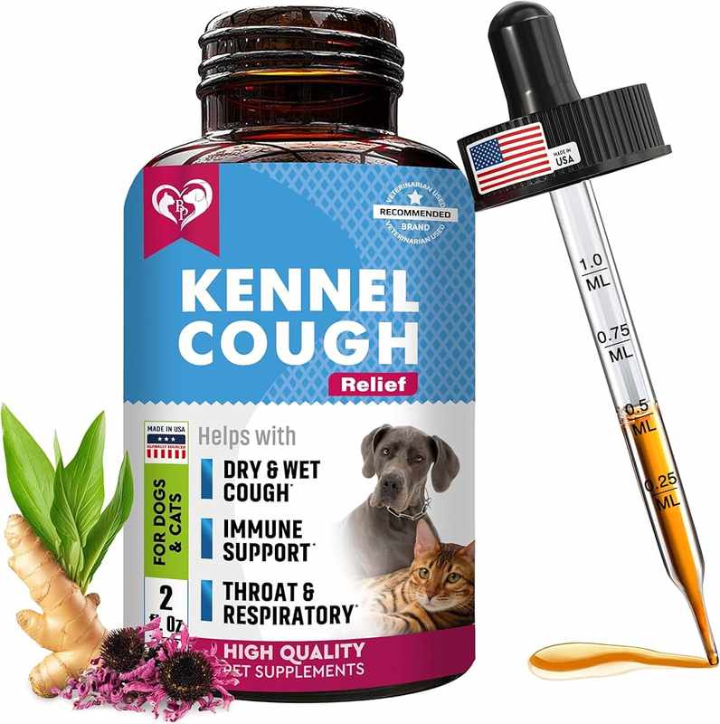 Asthma in Dogs_ Natural Treatments