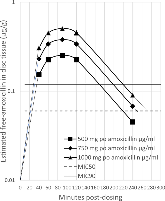Augmentin VS Amoxicillin_ A Comparative Look at Side Effects