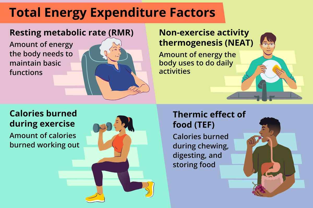 Average Burned Calories Per Day