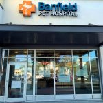 Banfield_pet_hospital_orlando_fl