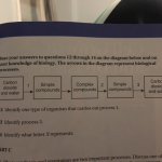 Base_your_answer_to_the_question_on_the_diagram_below_and_on_your_knowledge_of_biology
