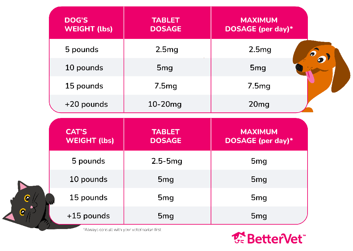 Benadryl and Zyrtec_ Dog Dosage