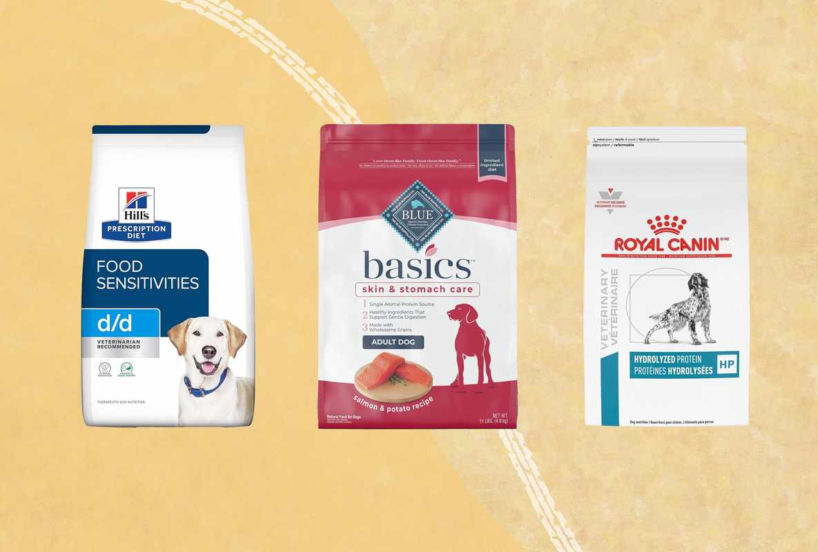 Best Dry Dog Food for Dogs with Skin Allergies and Gastro Issues