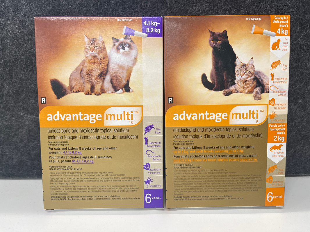 Best Price Advantage Multi for Dogs