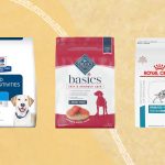 Best_dry_dog_food_for_dogs_with_skin_allergies_and_gastro_issues