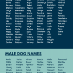 Big_boy_dog_names