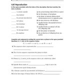 Biology_meiosis_and_sexual_reproductions_assessment_chapter_test_answer_key