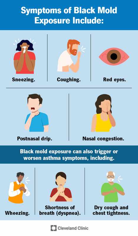 Black Mold Pictures_ Understanding Symptoms
