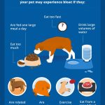 Bloating_in_dogs_symptoms