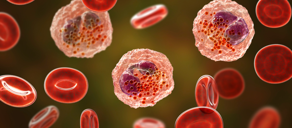 Blood Work MCH_ What Is It_