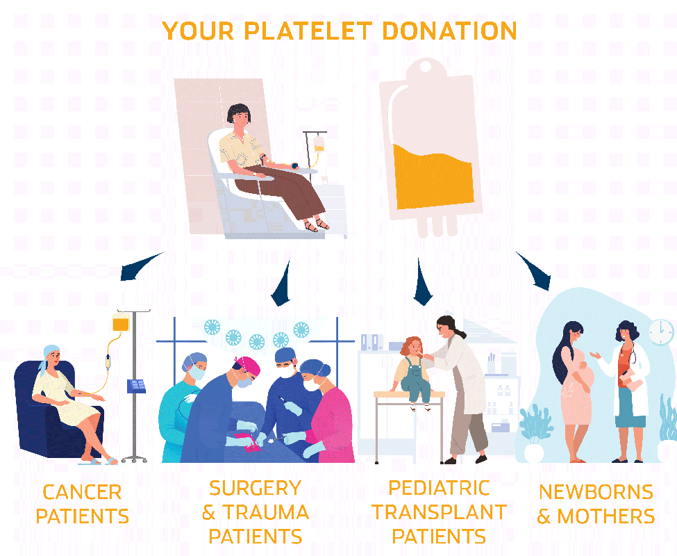 Can A Low Platelet Count Be Caused By Donating Too Much When Younger_