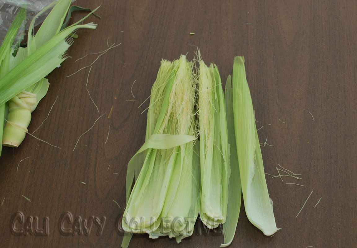 Can Guinea Pigs Eat Corn Husk_