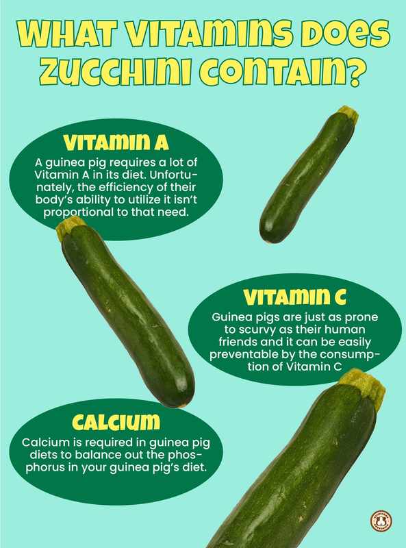 Can Guinea Pigs Eat Zucchini Skin_