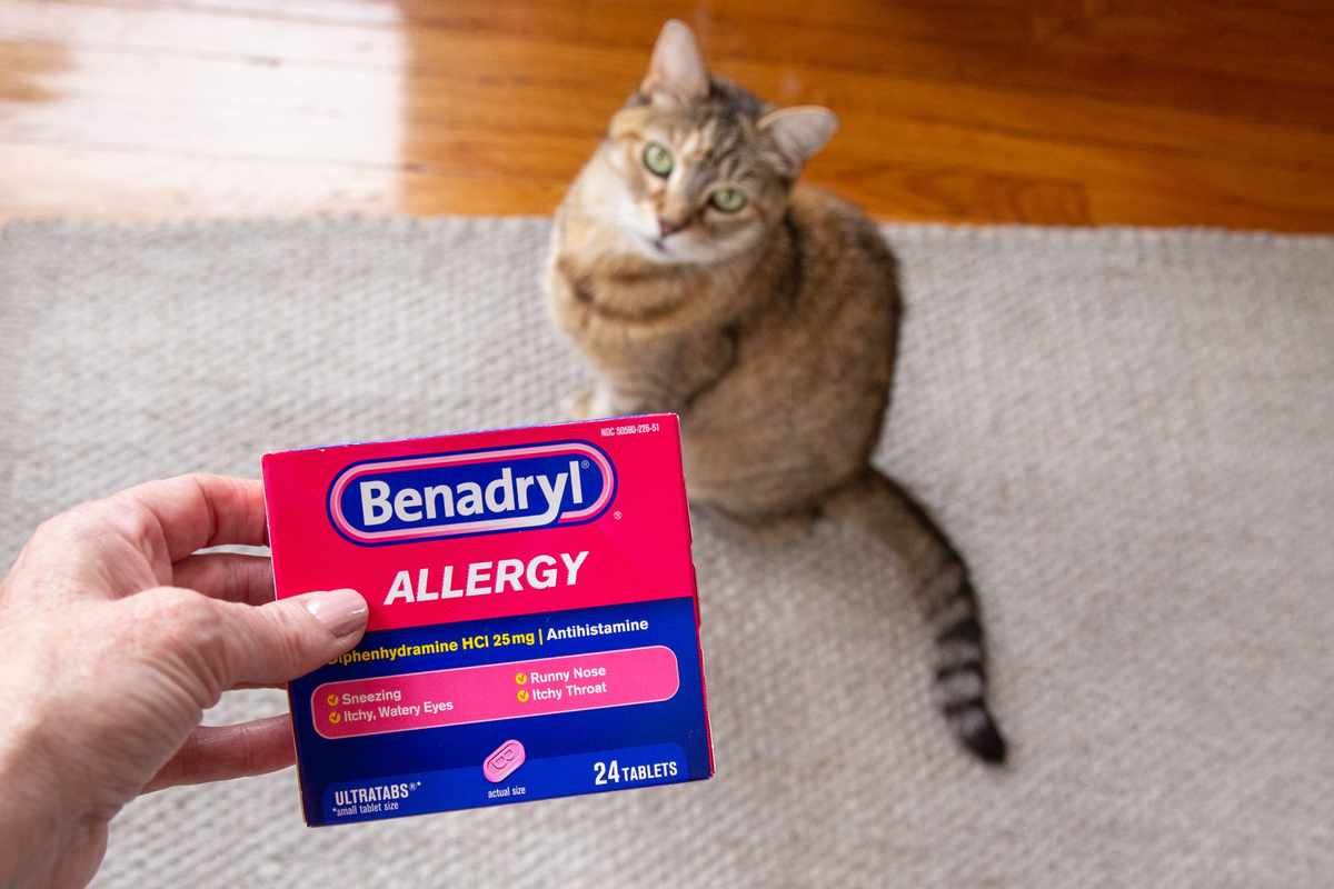 Can I Give My Cat Benadryl For Flea Allergies_