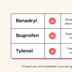 Can I Give My Dog Baby Tylenol_1