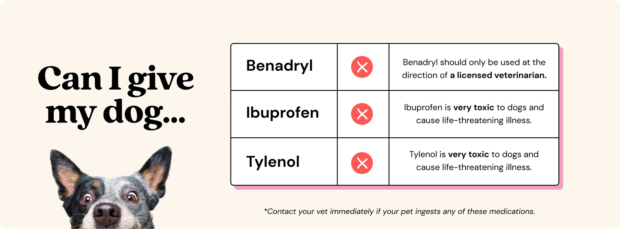 Can I Give My Dog Baby Tylenol