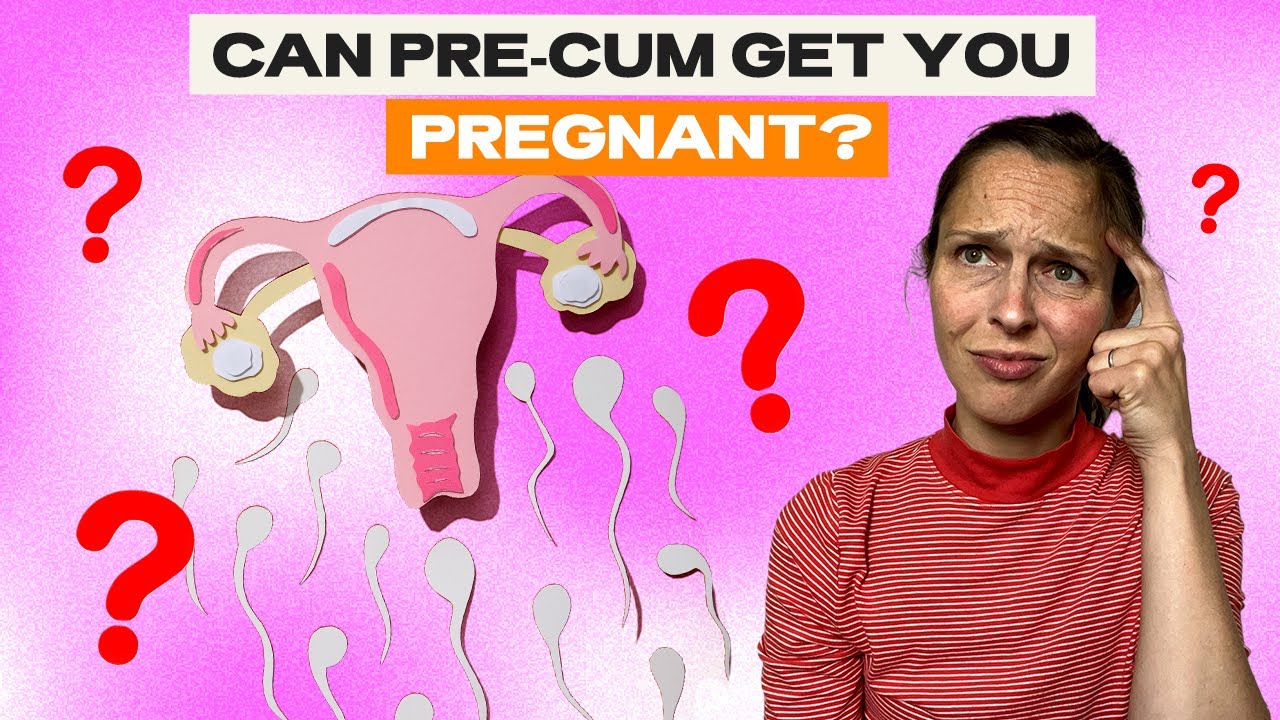 Can You Get Pregnant From Precum_ A Reddit Perspective