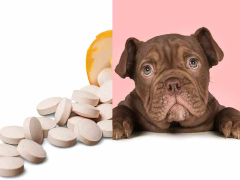 Can You Give A Dog Low Dose Aspirin