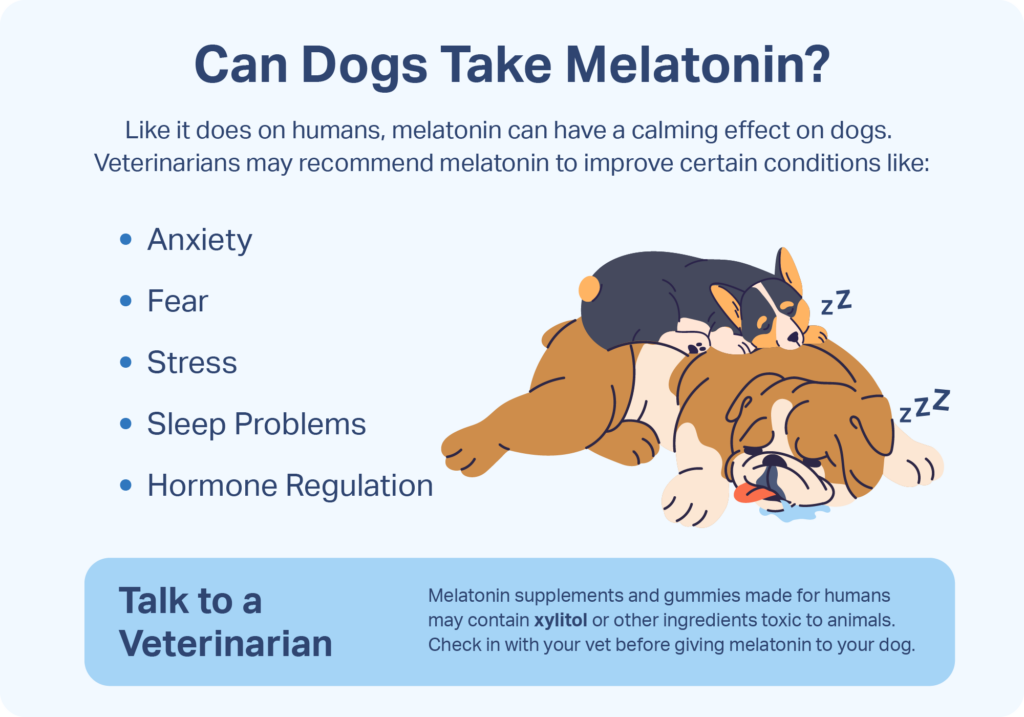 Can You Give A Dog Melatonin