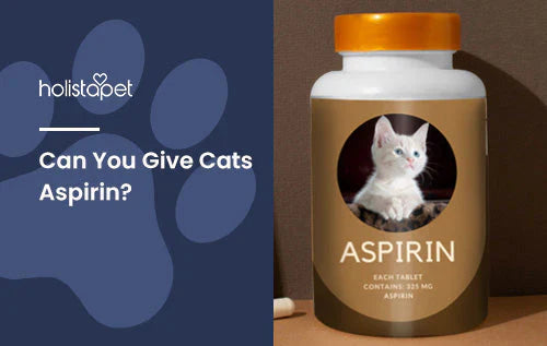 Can You Give Baby Aspirin to a Cat_