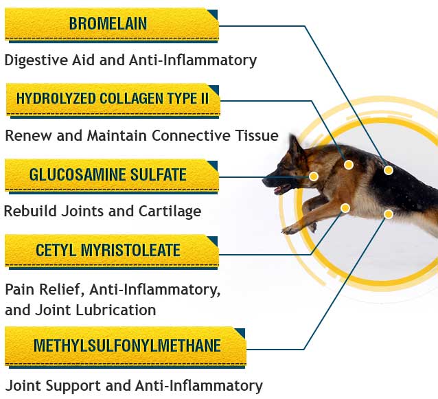 Can You Give a 12 Pound Dog Low Dose Adult Aspirin_
