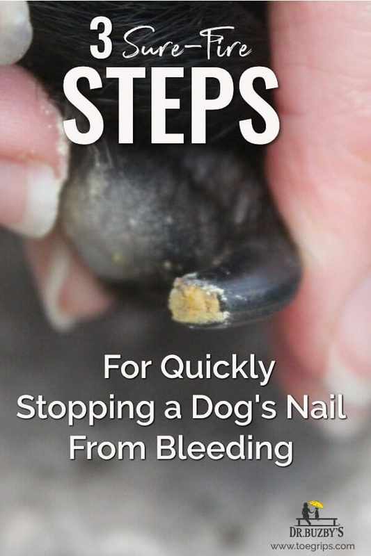 Can You Use Baking Powder Instead of Baking Soda for a Dog_s Bleeding Nail