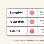 Can a Dog Take Ibuprofen for Pain_1