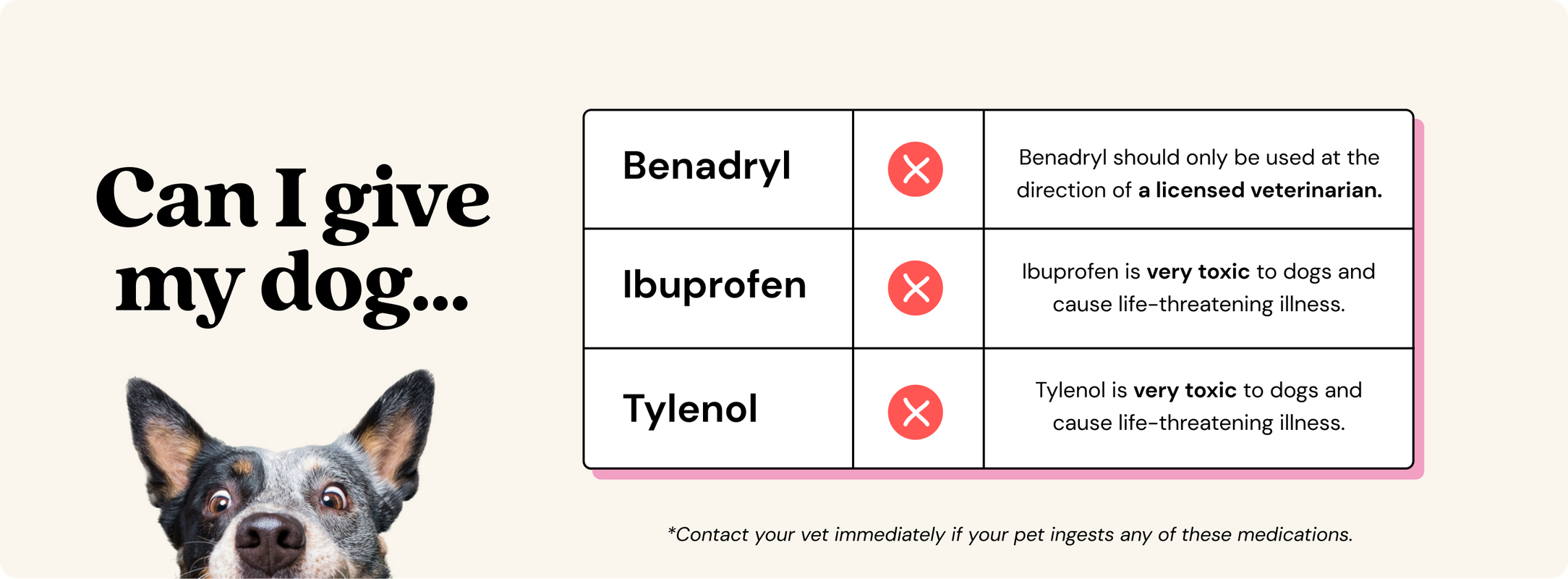Can a Dog Take Ibuprofen for Pain_