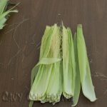 Can_guinea_pigs_eat_corn_husk