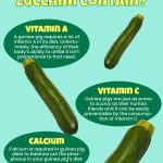 Can_guinea_pigs_eat_zucchini_skin
