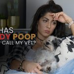Can_i_call_my_vet_for_advice